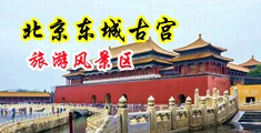 操小白逼操逼操大骚逼中国北京-东城古宫旅游风景区